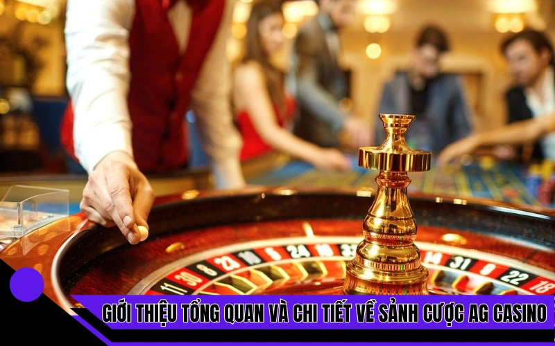 Giới thiệu tổng quan và chi tiết về sảnh cược Ag casino