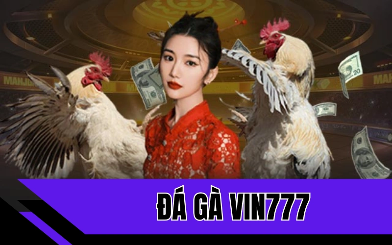 Nền tảng cá cược đá gà Vin777